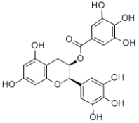 EGCG Structure