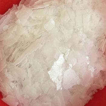 N-[3-(dimethylamino)propyl]docosanamide
